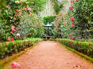 Ceramic Planter Set (3-Pack)